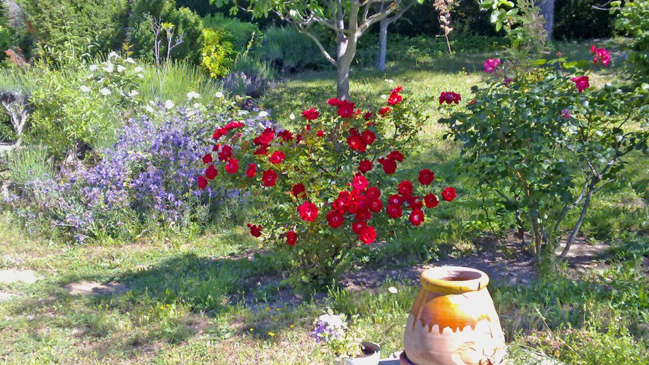 Photo of Outdoor in Le Castellet