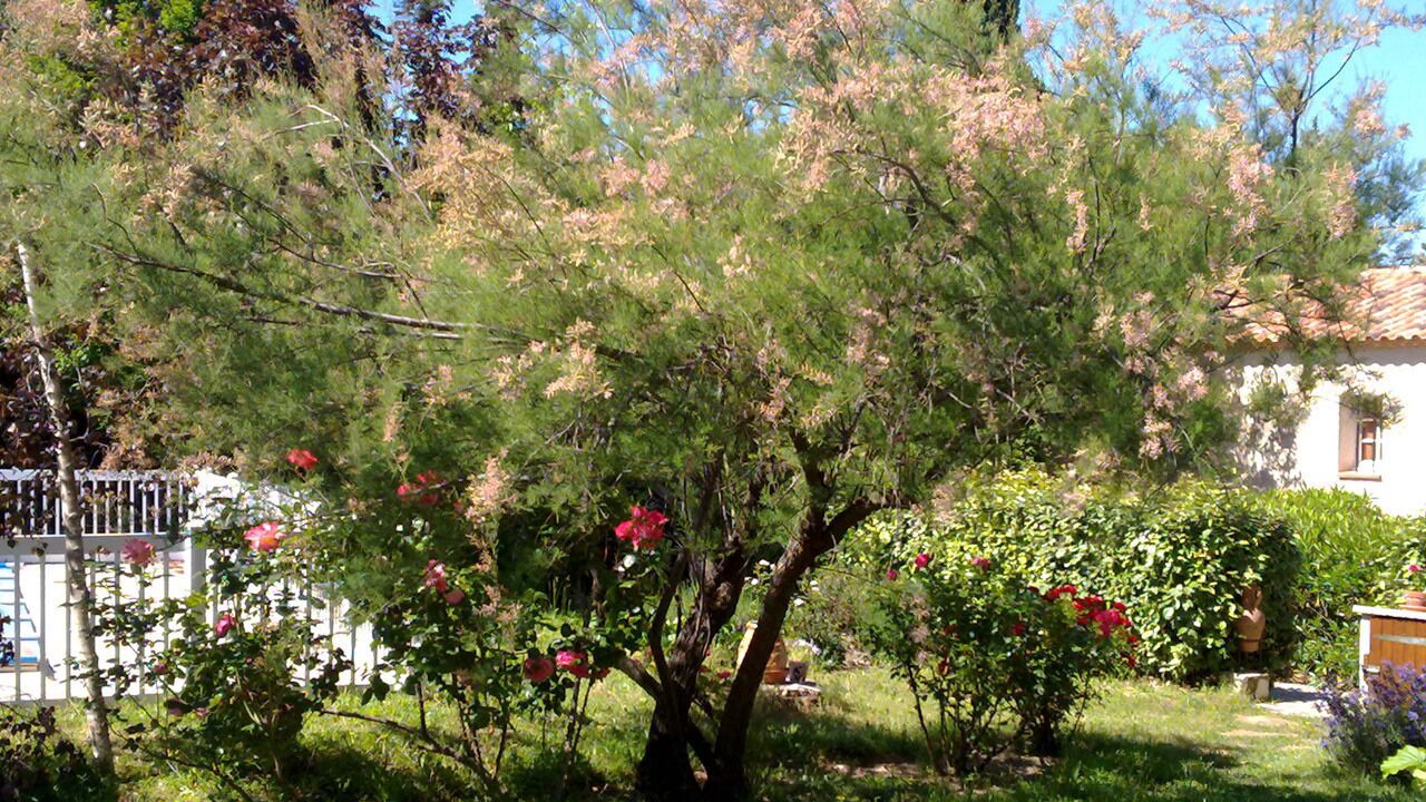 Photo of Outdoor in Le Castellet