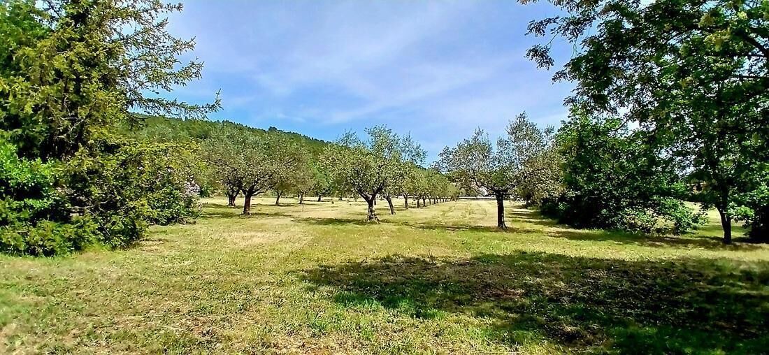 Photo of Others in Figanieres