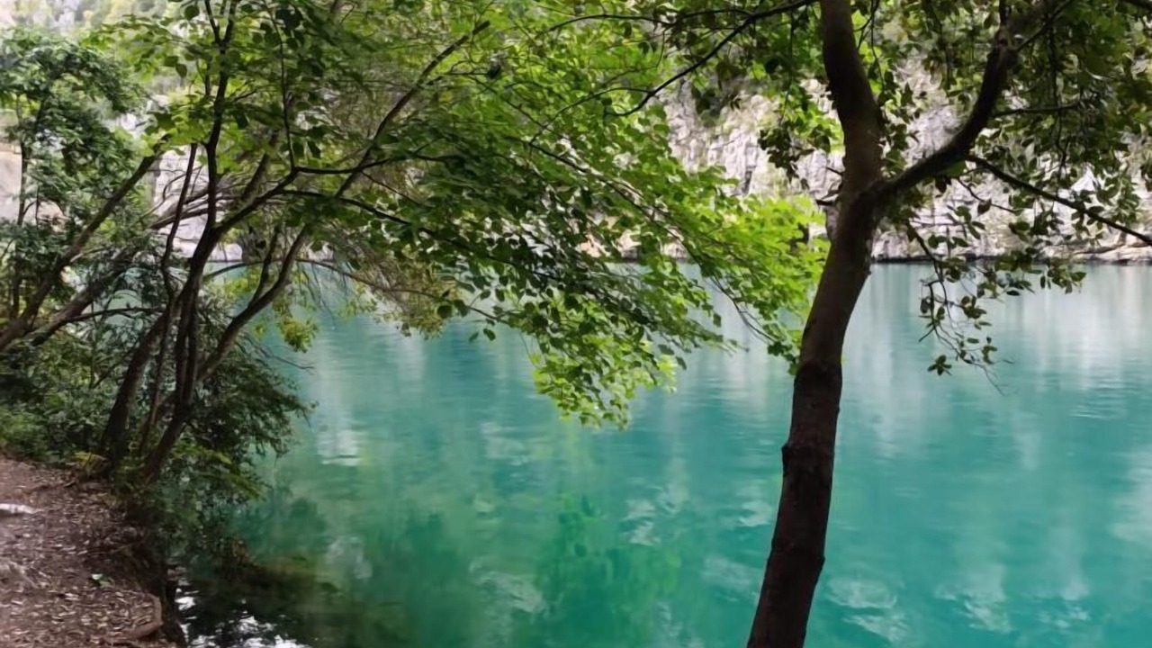 Photo of Others in Artignosc-sur-Verdon