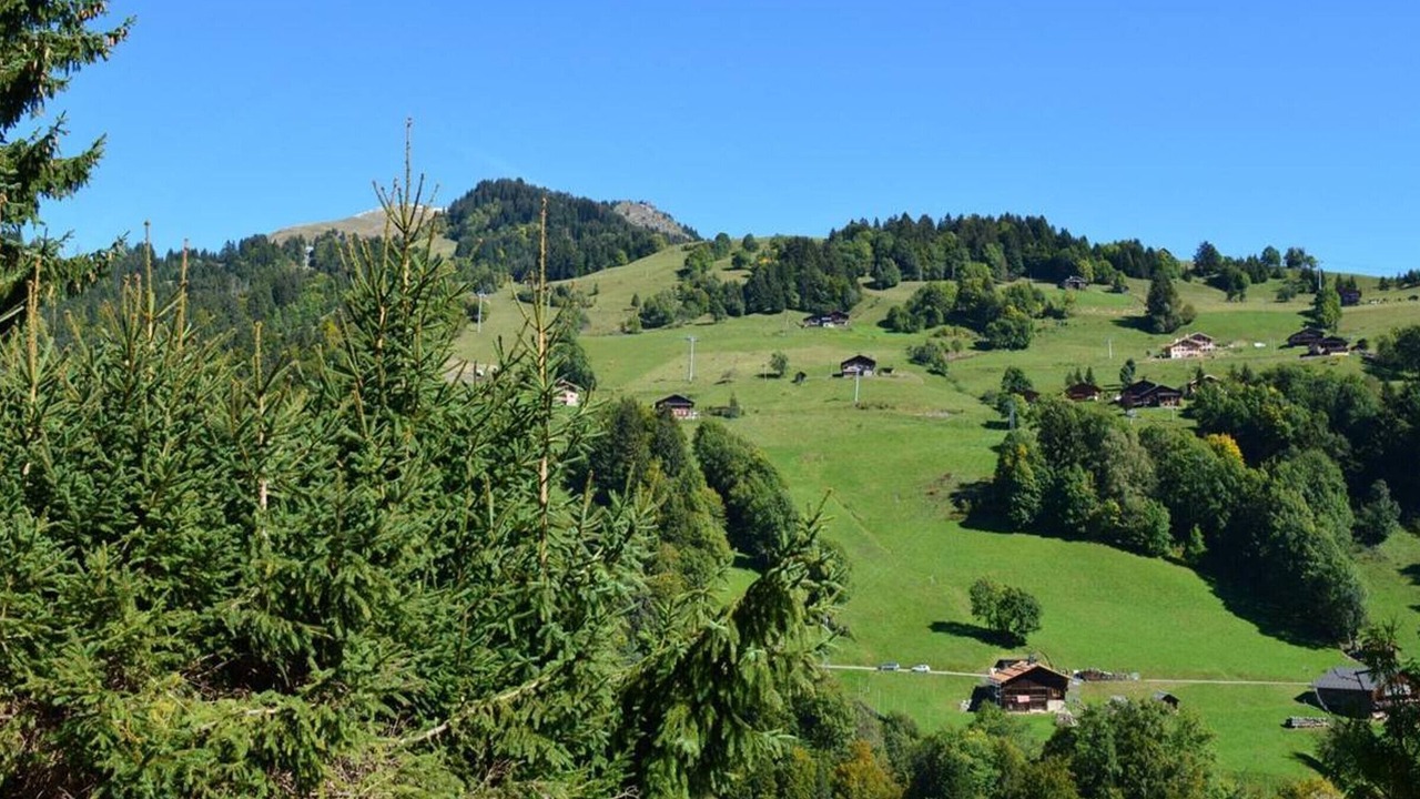 Photo of Others in Le Grand-Bornand