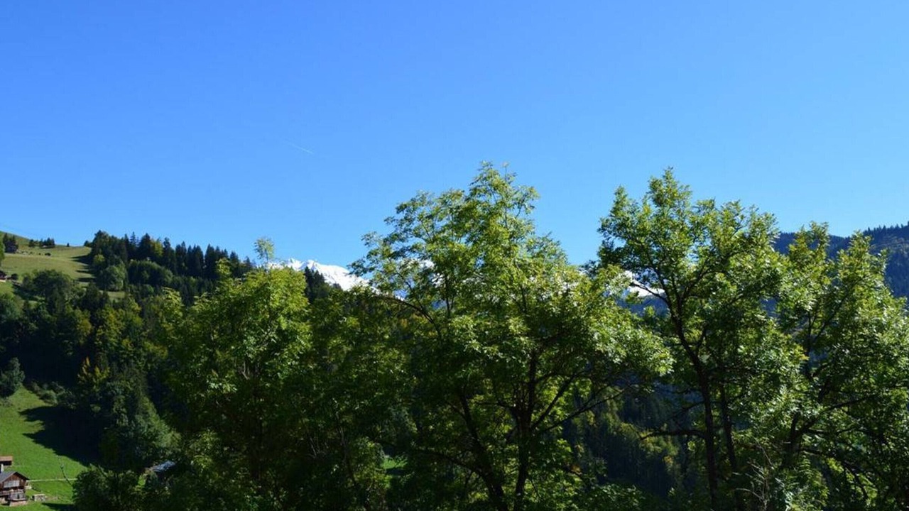 Photo of Others in Le Grand-Bornand