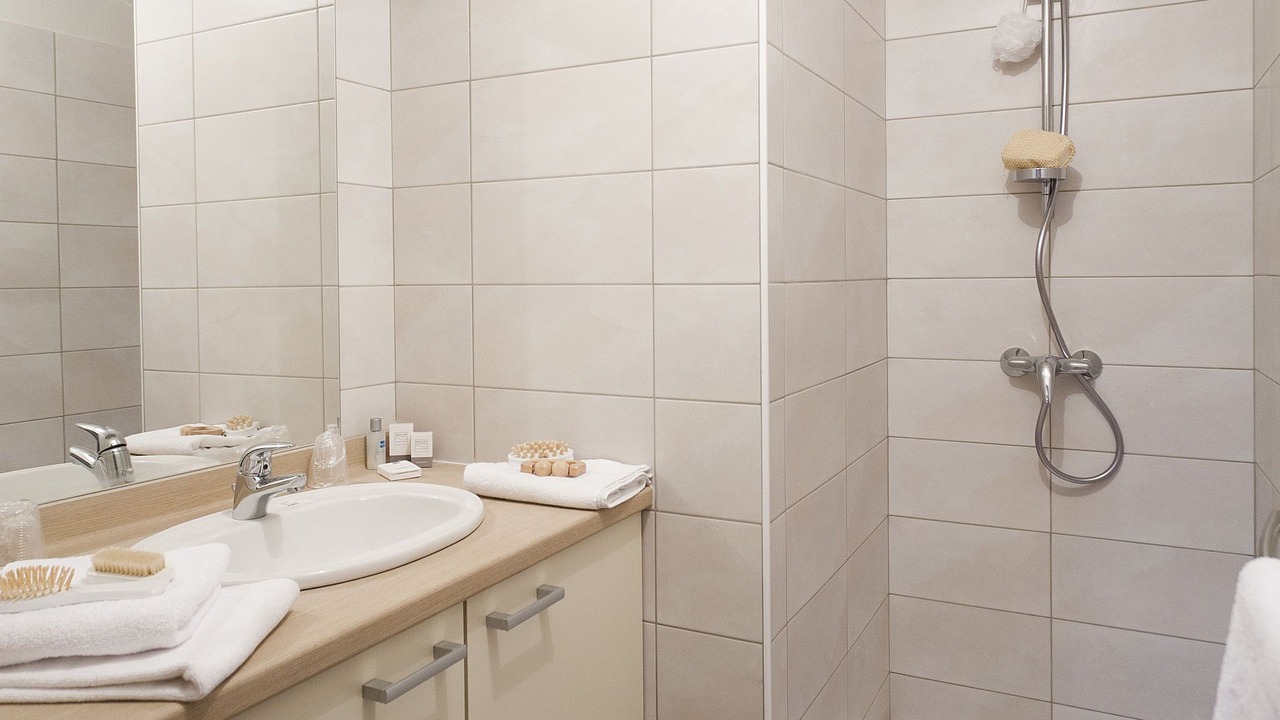 Photo of Bathroom in Sainte-Foy-Tarentaise