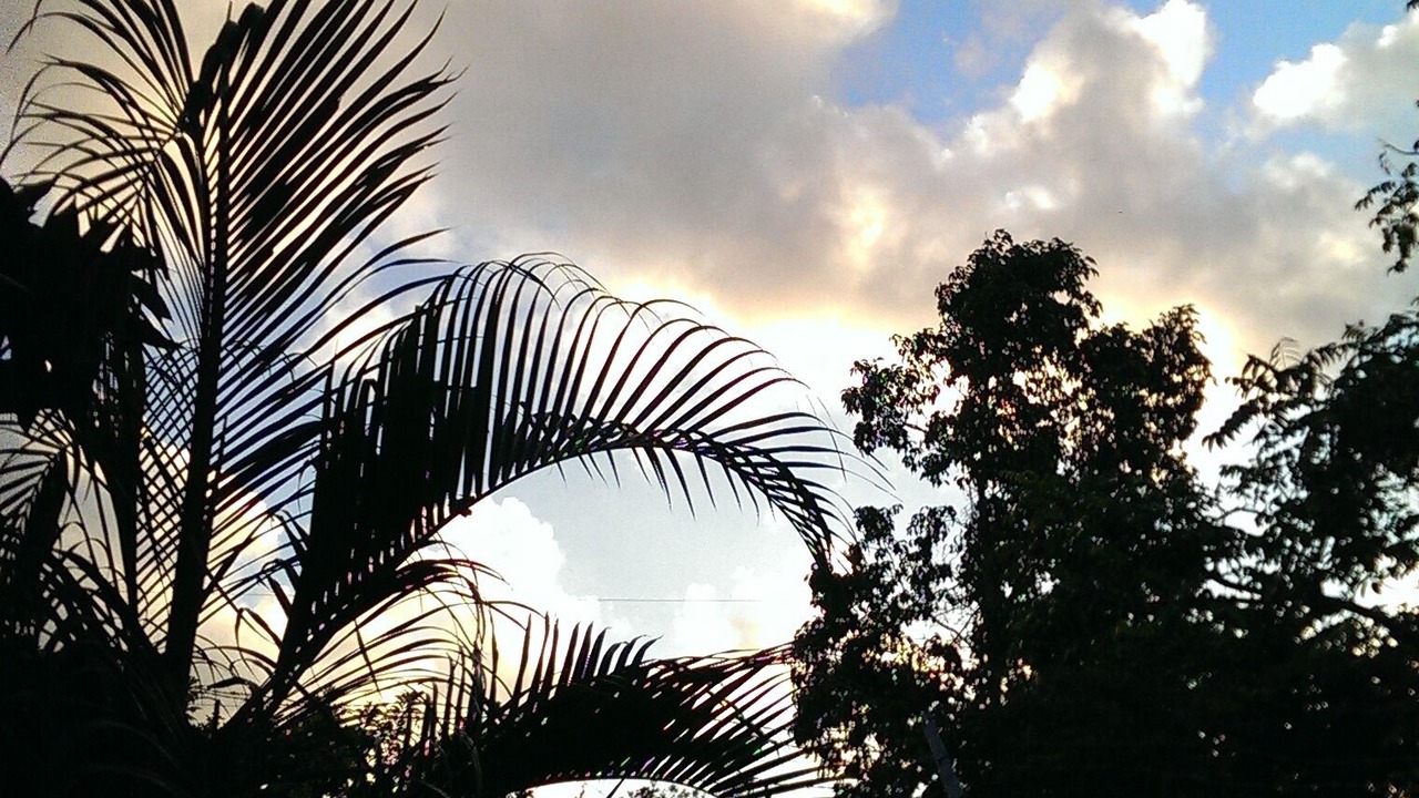 Photo of Outdoor in Northern Estates