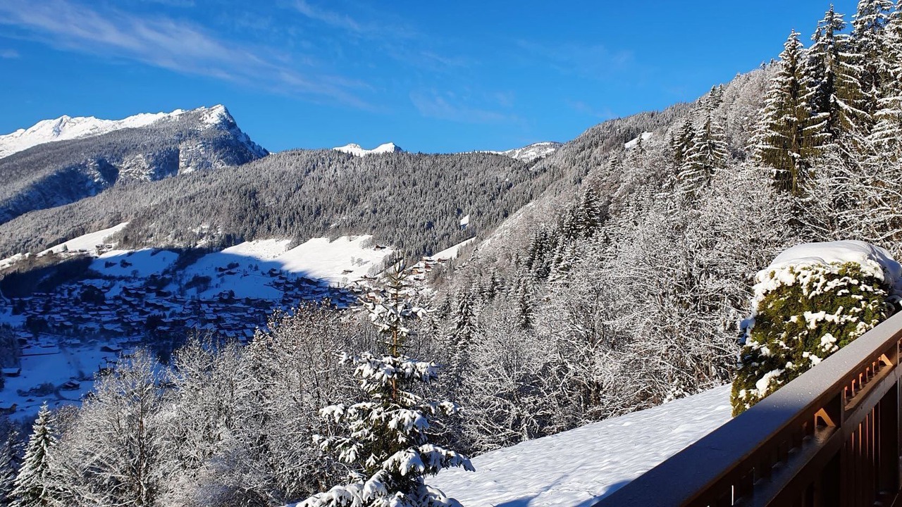 Photo of Patio Balcony in Le Grand-Bornand