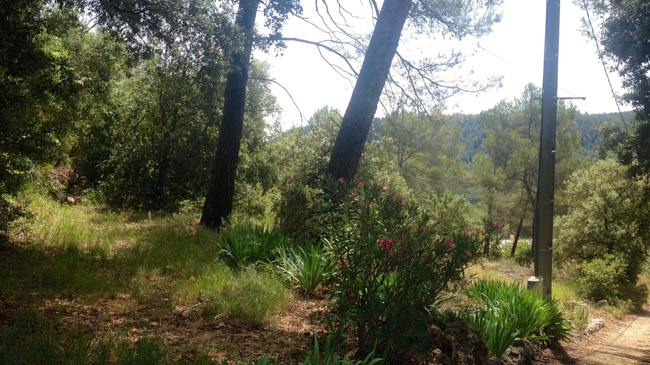 Photo of Outdoor in Salernes