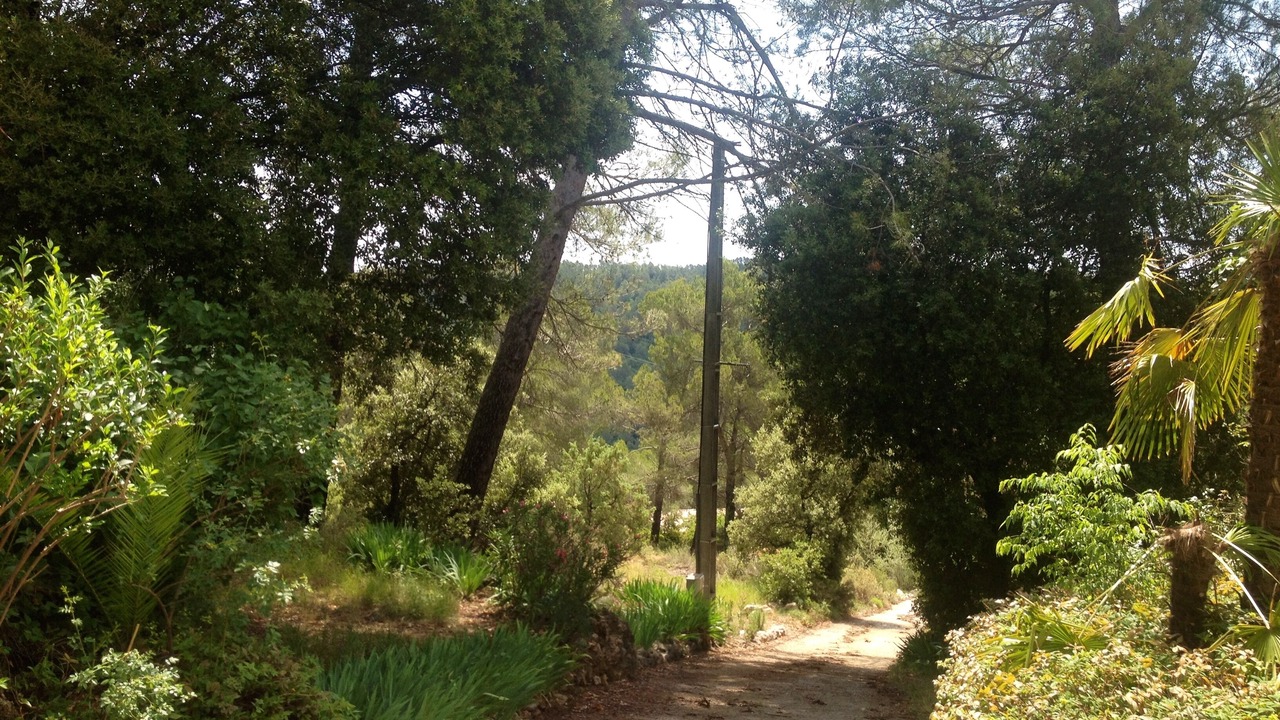 Photo of Outdoor in Salernes