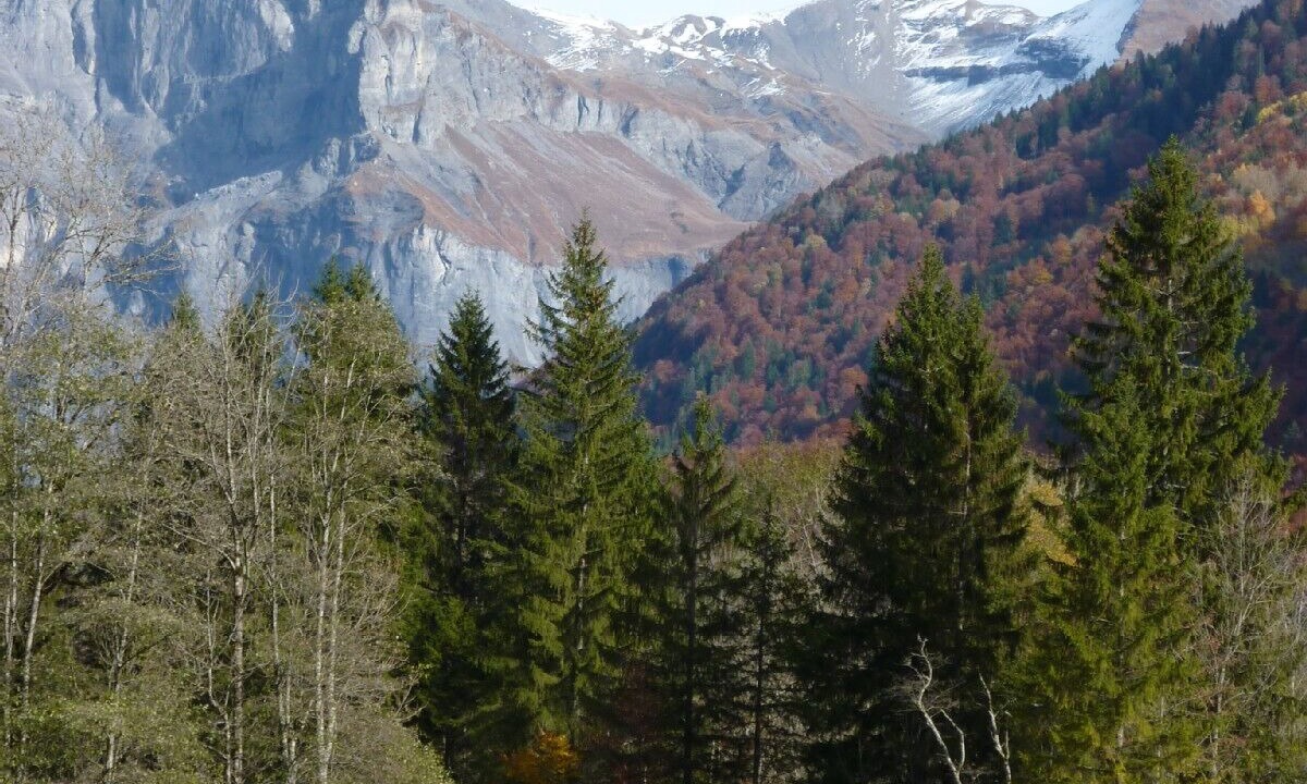 Photo of Others in Sixt-Fer-a-Cheval