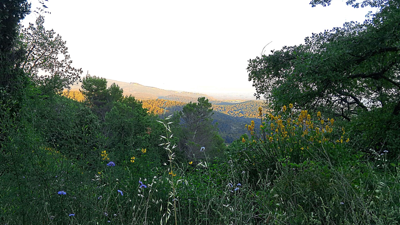 Photo of Outdoor in Callas