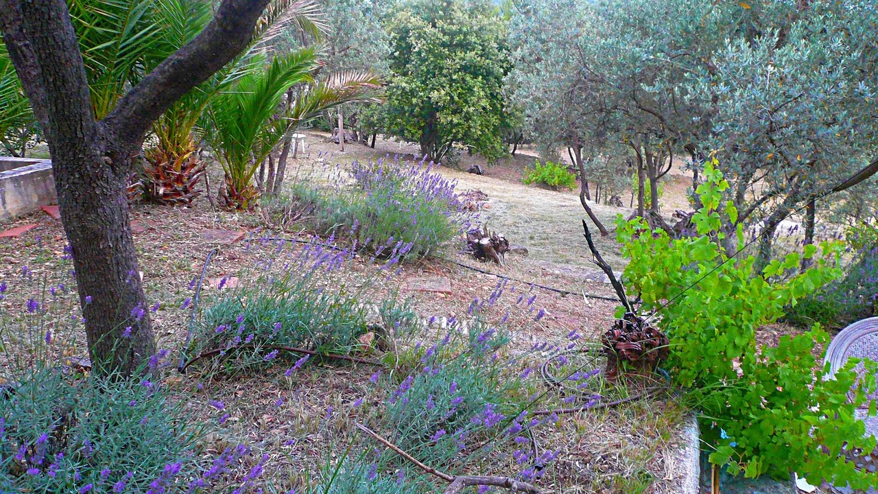 Photo of Outdoor in Callas