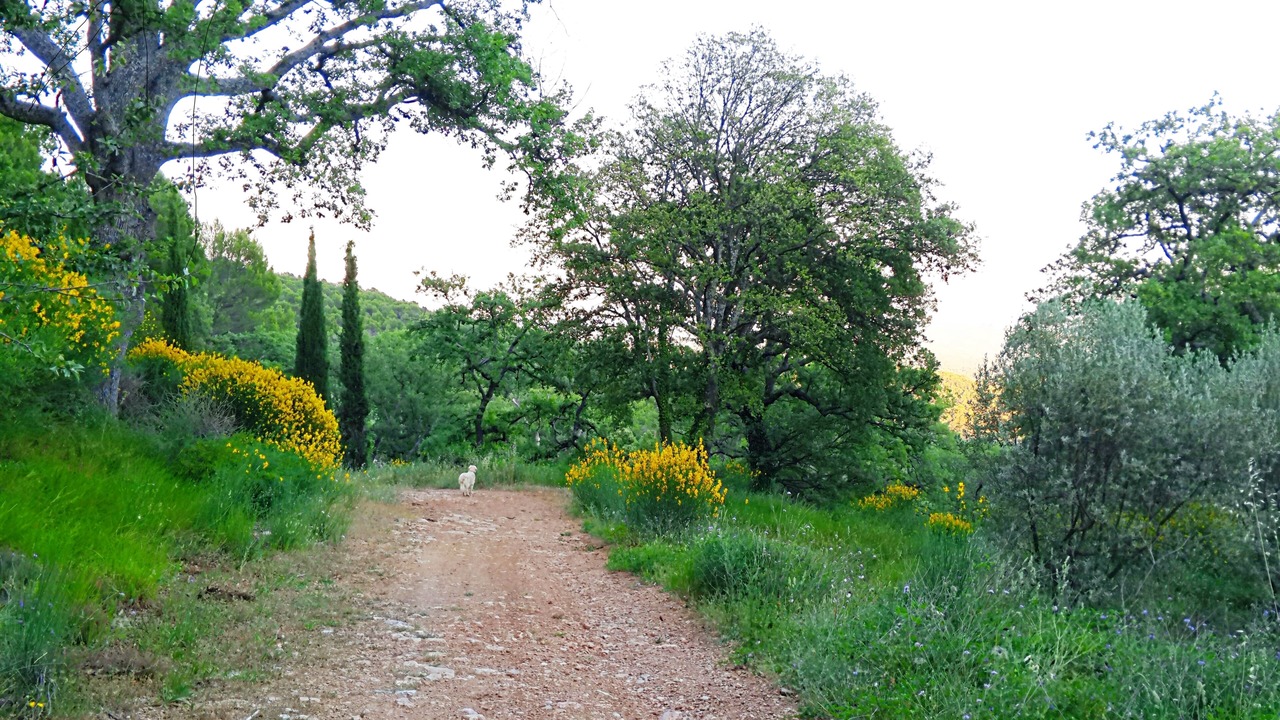 Photo of Outdoor in Callas