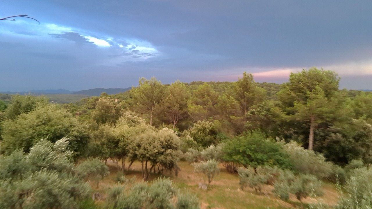 Photo of Outdoor in Callas