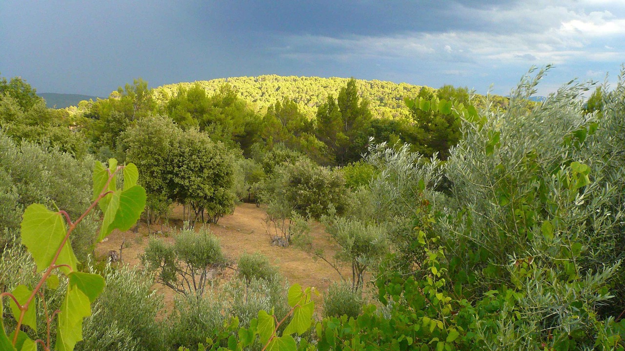 Photo of Outdoor in Callas