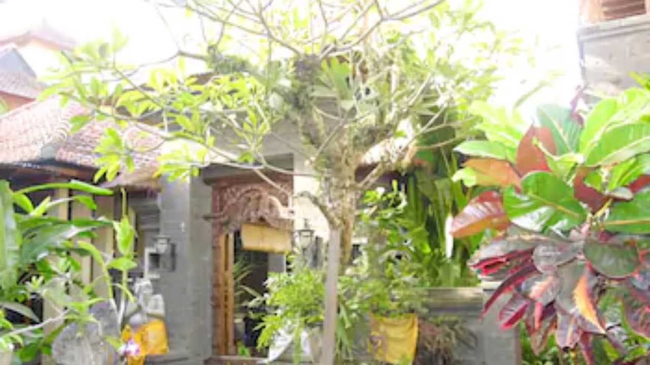 Photo of Outdoor in Petitenget