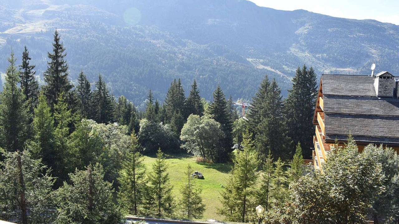 Photo of Outdoor in Meribel