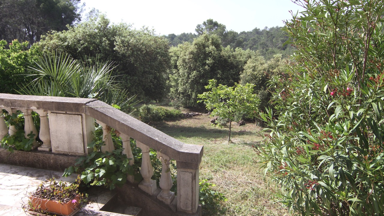 Photo of Outdoor in Trans-en-Provence