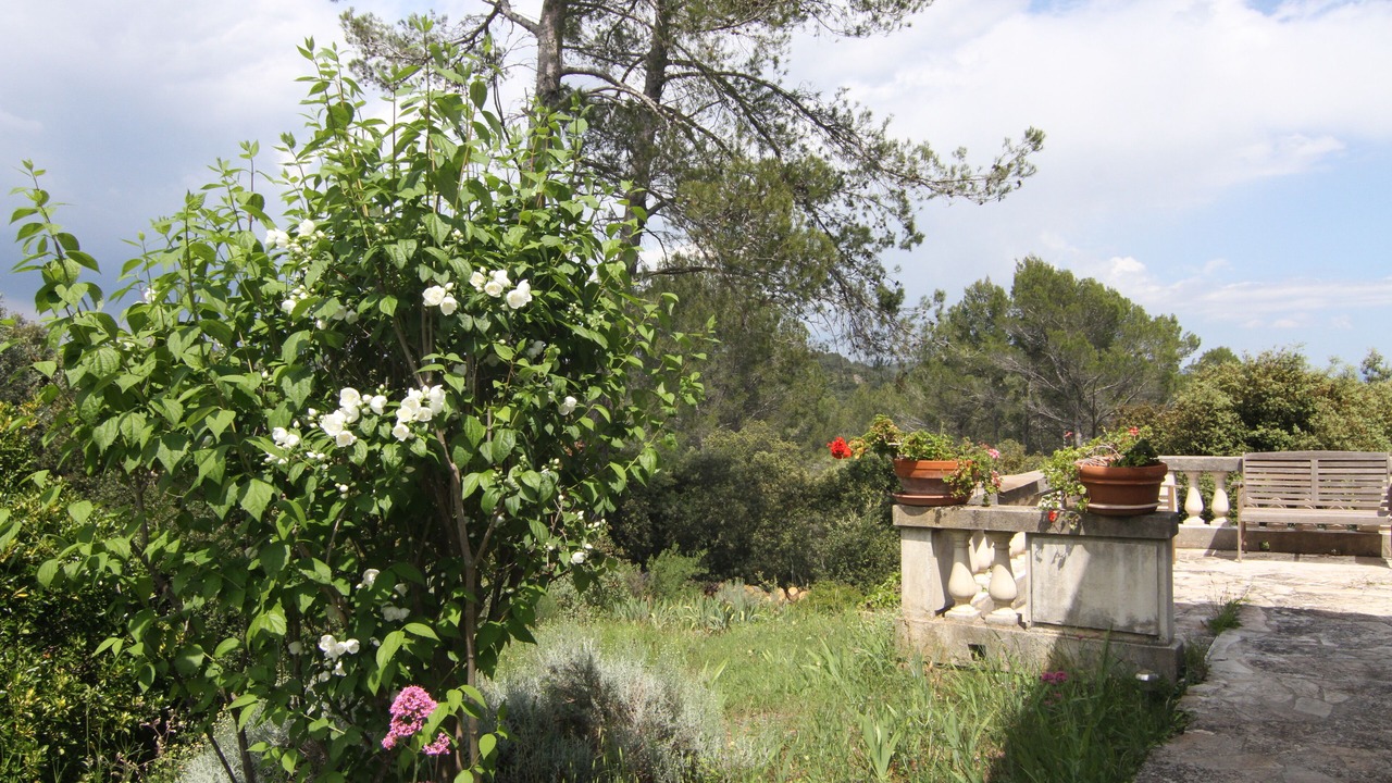 Photo of Outdoor in Trans-en-Provence