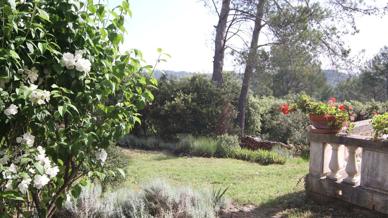 Photo of Outdoor in Trans-en-Provence
