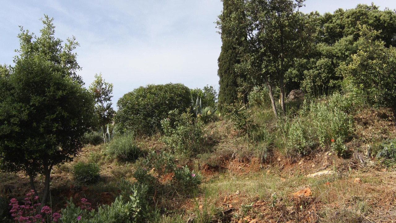 Photo of Outdoor in Trans-en-Provence