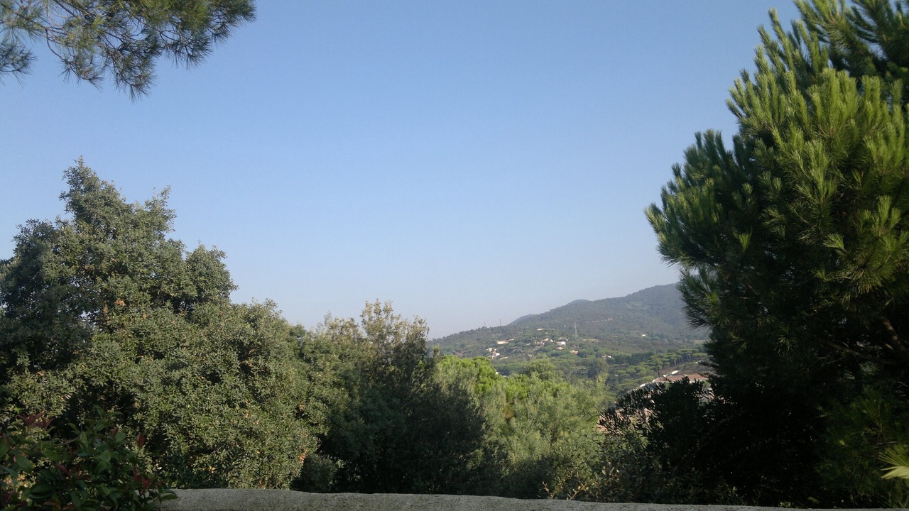 Photo of Others in Sainte-Maxime