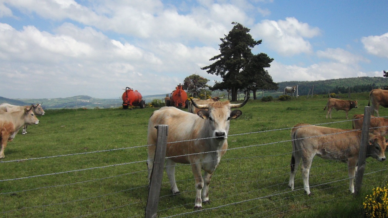 Photo of Outdoor in Saint-Leger-les-Melezes