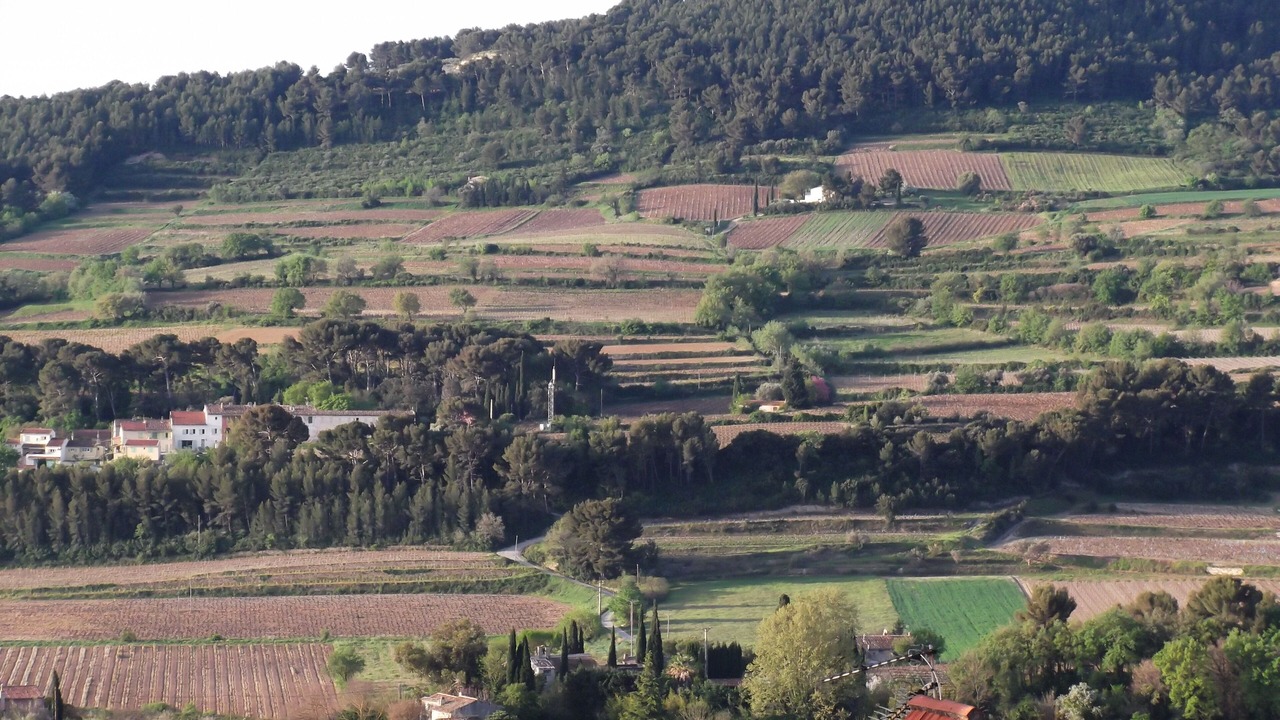 Photo of Outdoor in La Cadiere-d'Azur