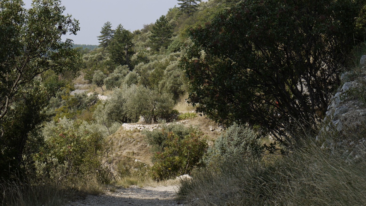 Photo of Outdoor in Fontaine-de-Vaucluse