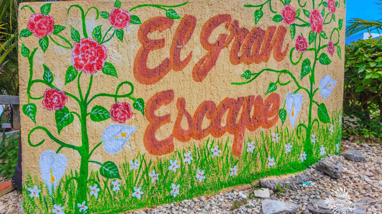 Photo of Outdoor in Isla Mujeres