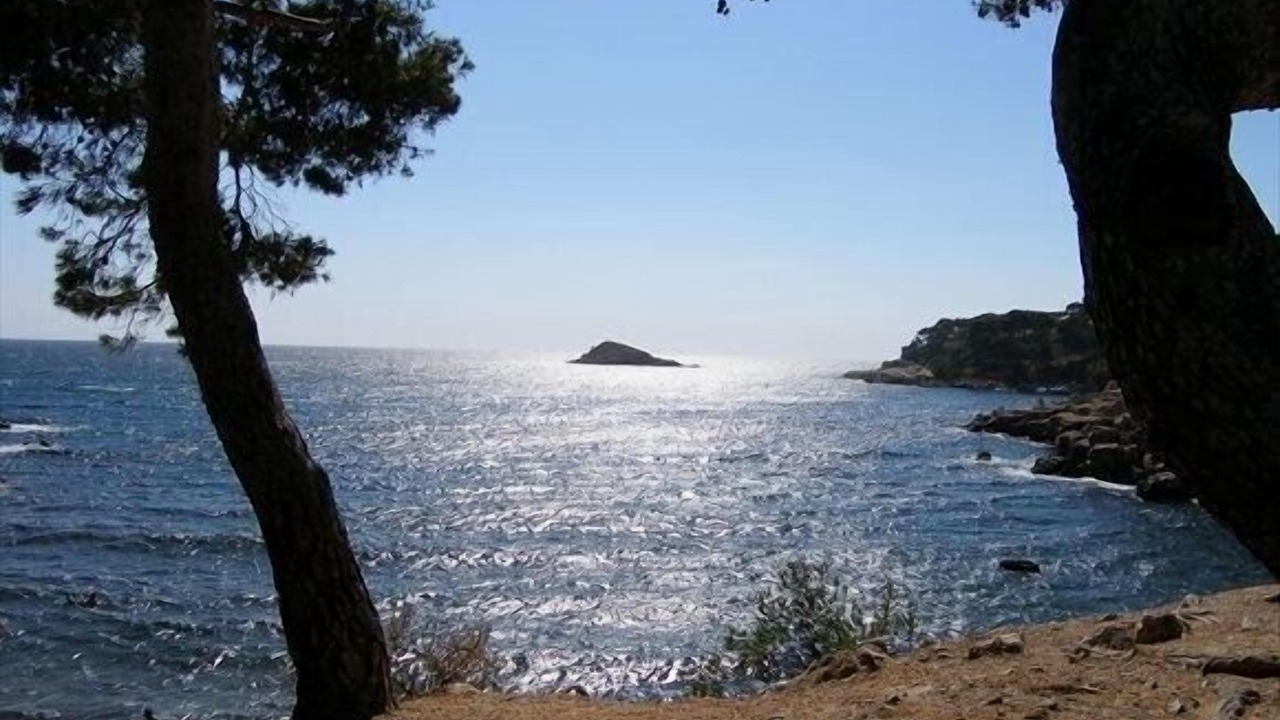 Photo of Others in Bandol