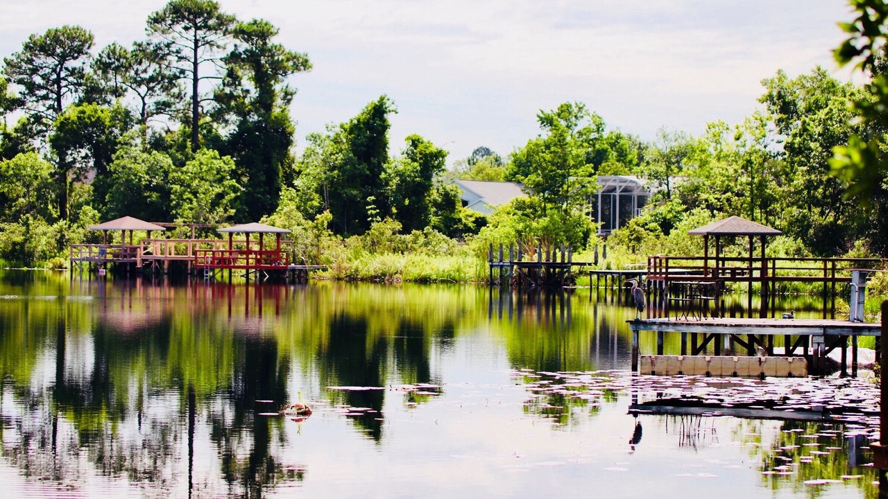 Photo of Outdoor in Orlando