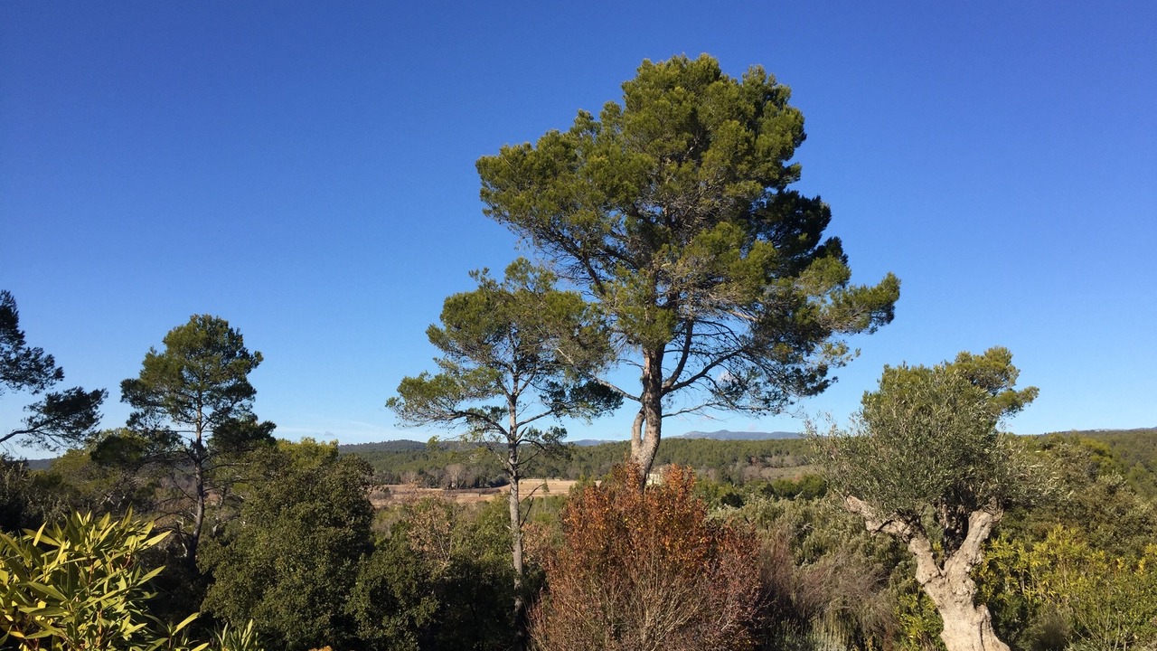 Photo of Outdoor in Lorgues