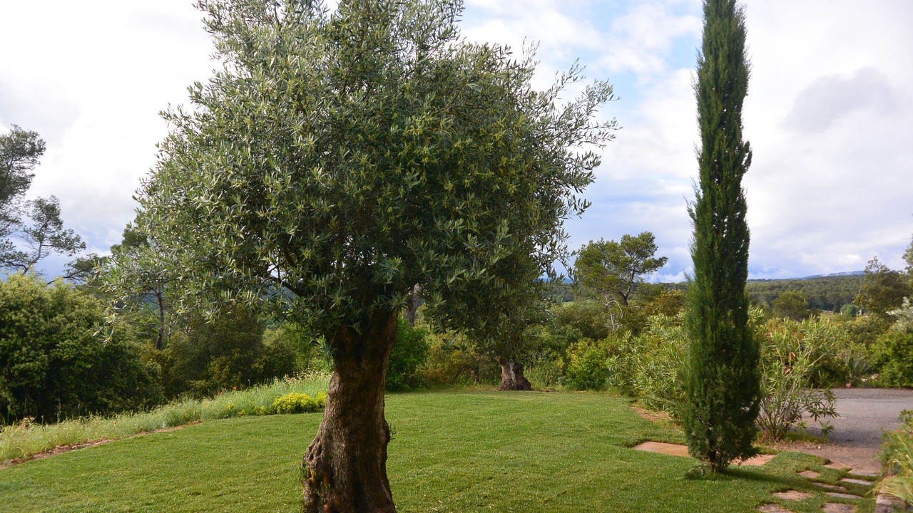 Photo of Outdoor in Lorgues