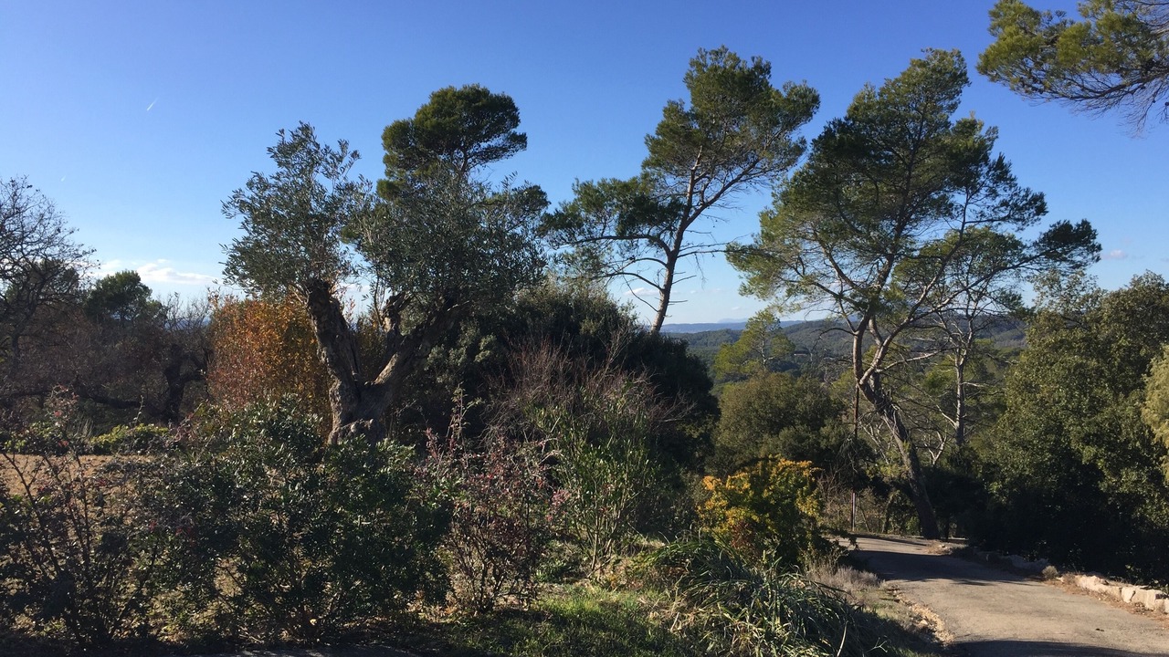 Photo of Outdoor in Lorgues