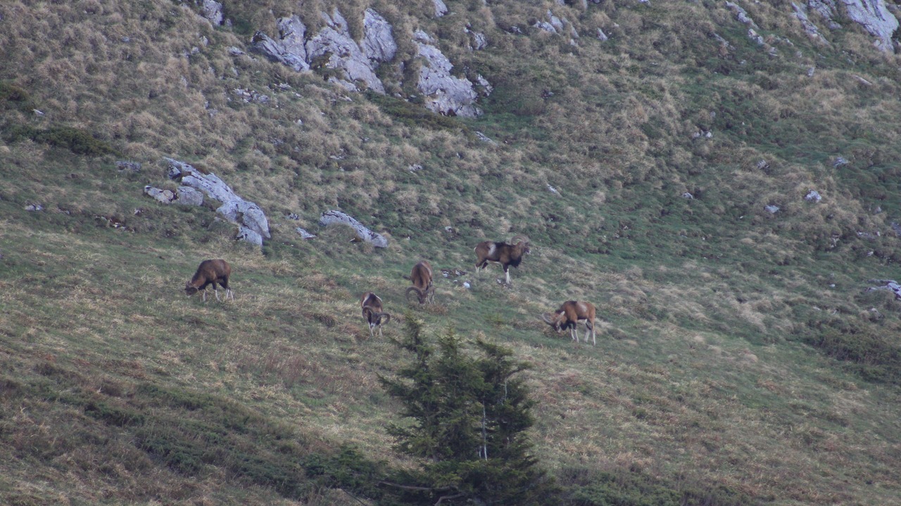 Photo of Others in Villard-de-Lans
