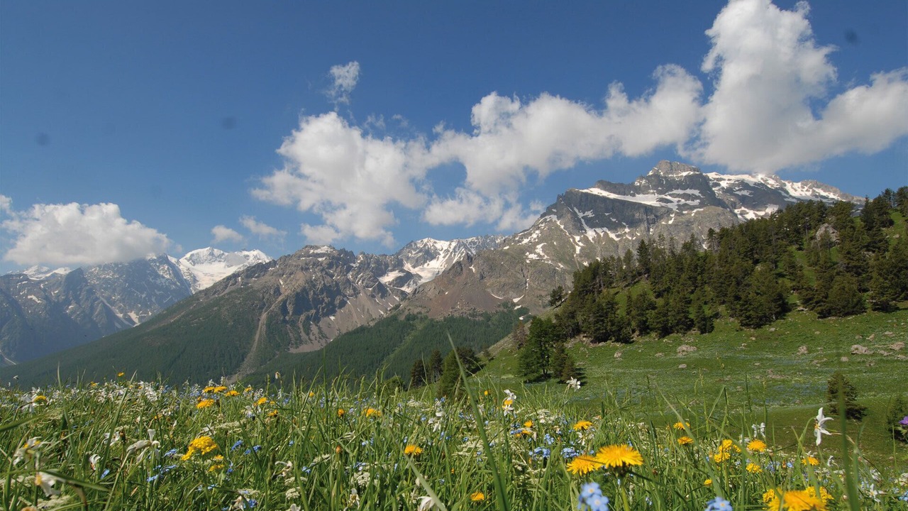 Photo of Outdoor in La Salle-les-Alpes