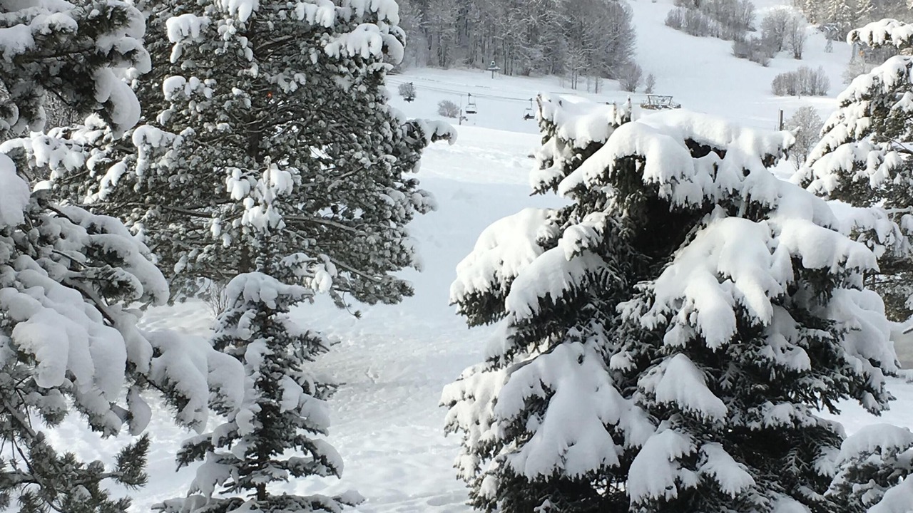 Photo of Others in La Salle-les-Alpes