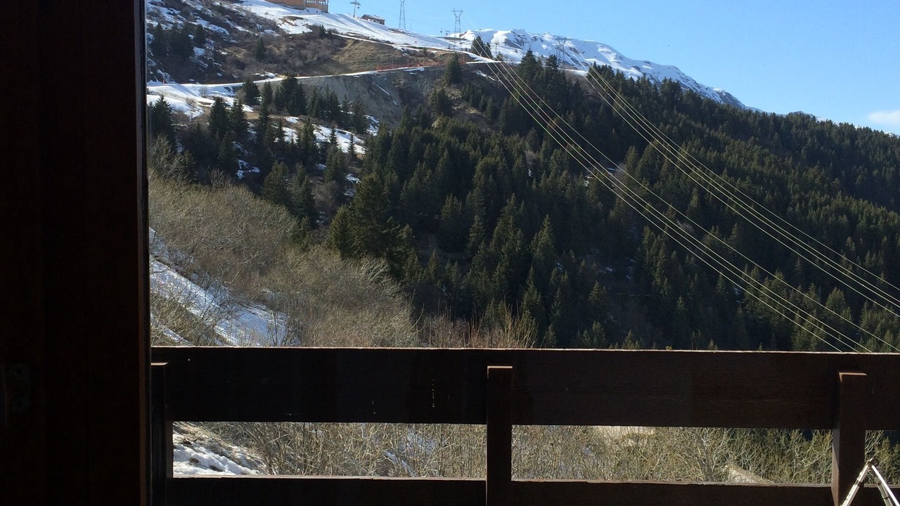 Photo of Others in Meribel-Mottaret