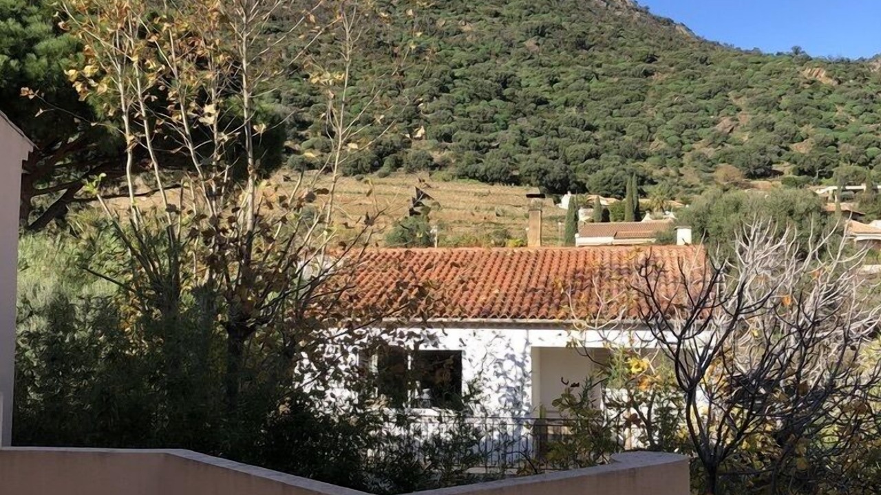 Photo of Outdoor in Le Lavandou