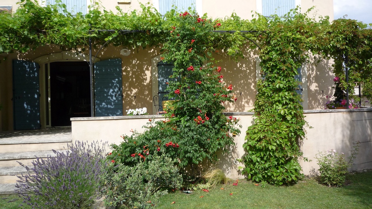 Photo of Outdoor in Velleron