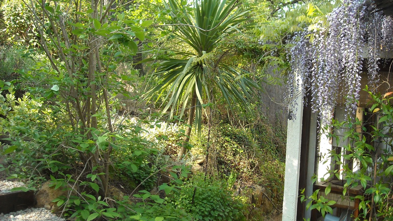 Photo of Outdoor in Vidauban