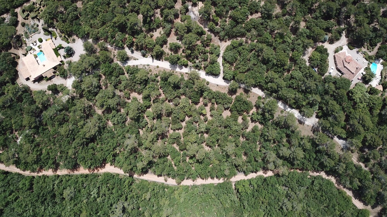 Photo of Outdoor in Lorgues