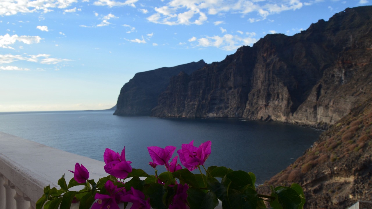 Photo of Others in Los Gigantes