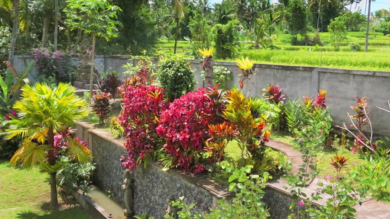 Photo of Outdoor in Kedewatan