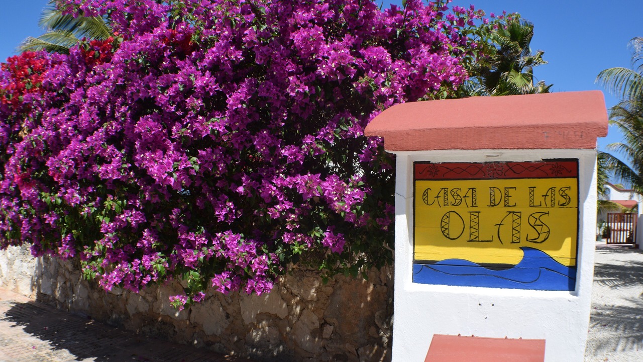 Photo of Others in Isla Mujeres