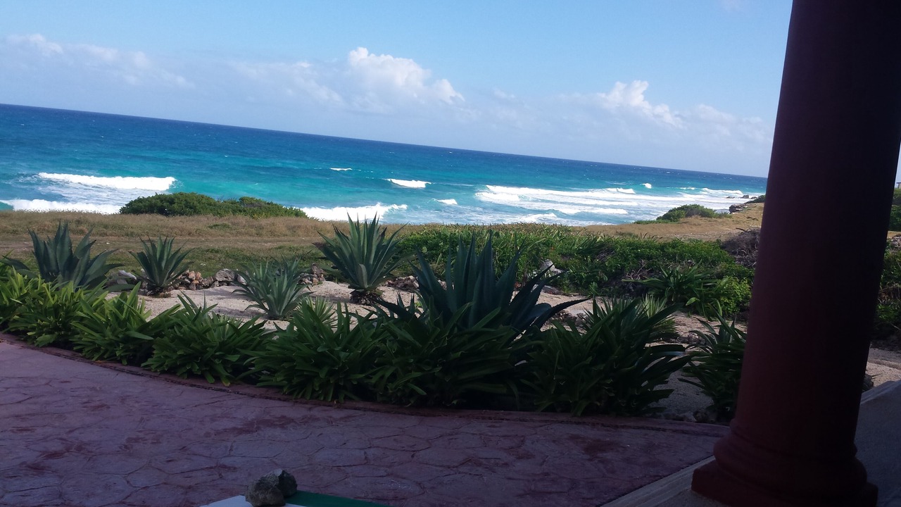 Photo of Others in Isla Mujeres