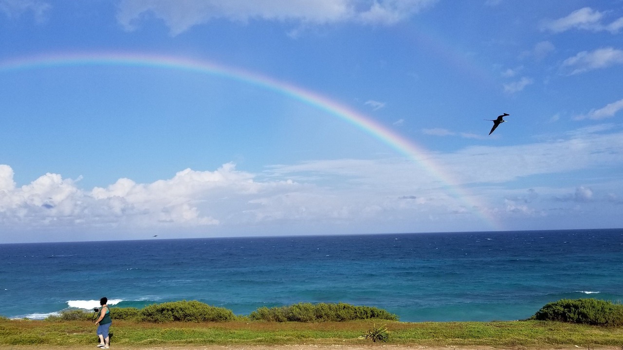 Photo of Outdoor in Isla Mujeres