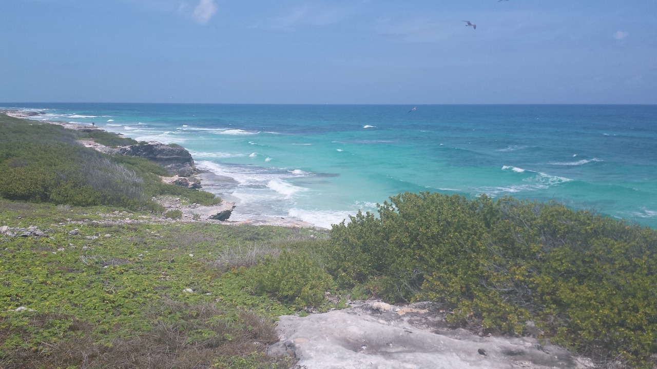 Photo of Others in Isla Mujeres