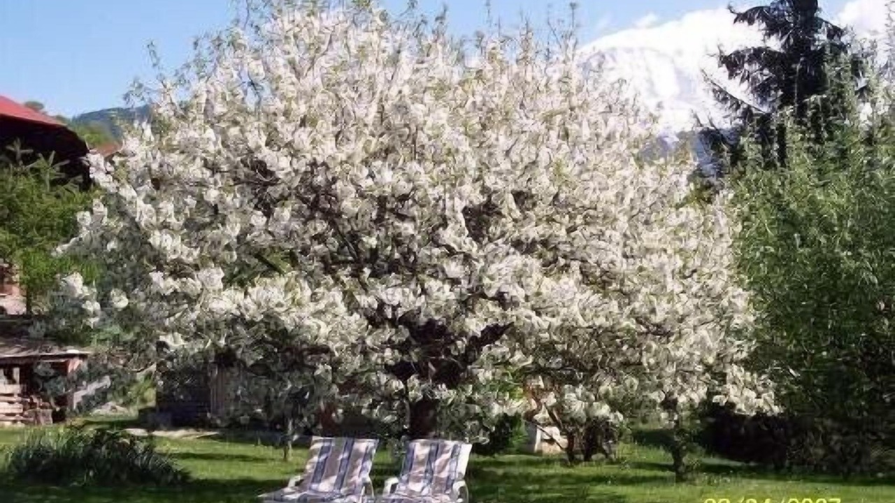 Photo of Outdoor in Passy