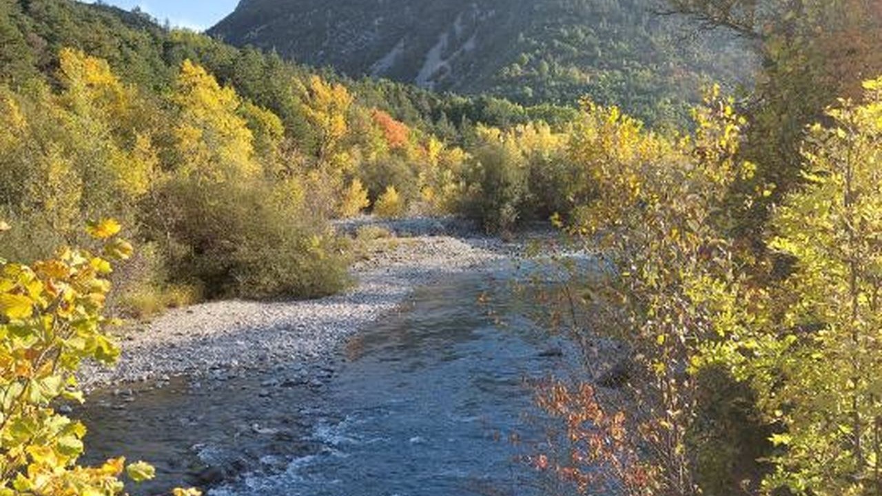 Photo of Others in Castellane
