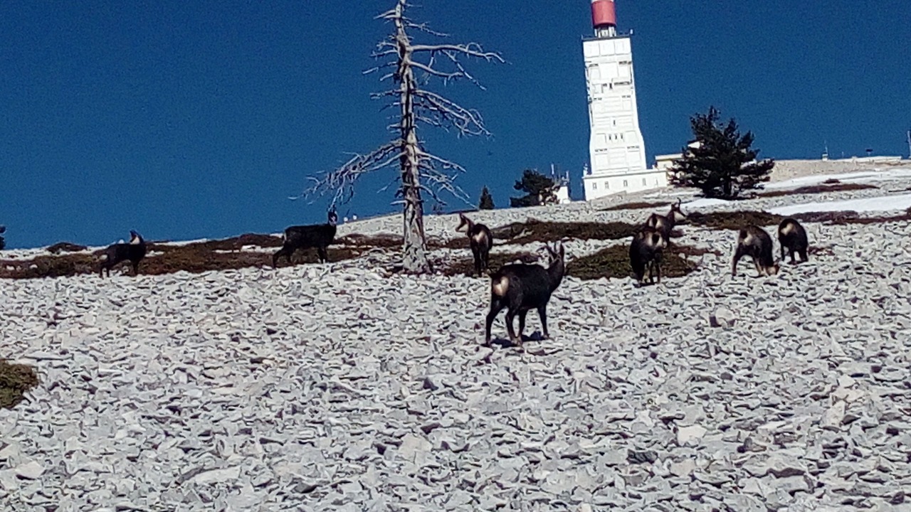 Photo of Others in Mont Serein